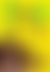 Evento Slam das Minas 17.09