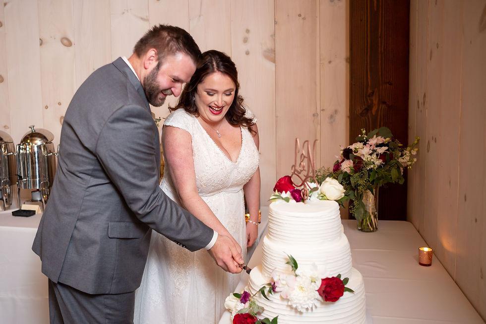 bride and groom cutting cake notting hill farm wedding south wales ny