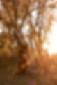 Buffalo_photographer_Jaimie_Ellis