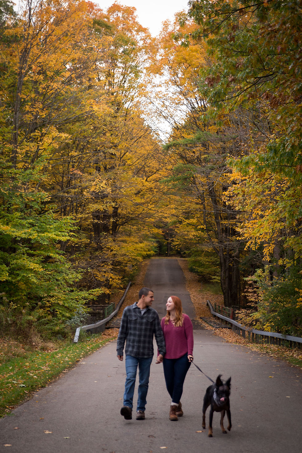 fall engagement couple shoot at Chestnut Ridge Orchard Park