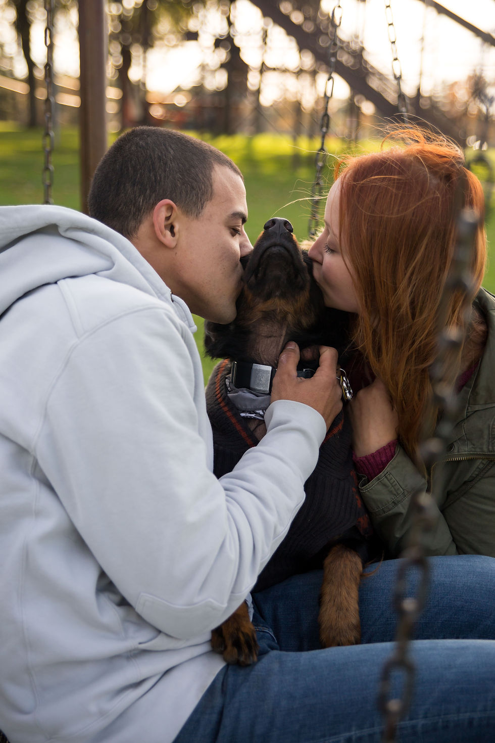 golden hour fall engagement couple shoot with dog at Chestnut Ridge Orchard Park