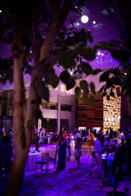 dj purple uplighting wedding reception dance floor