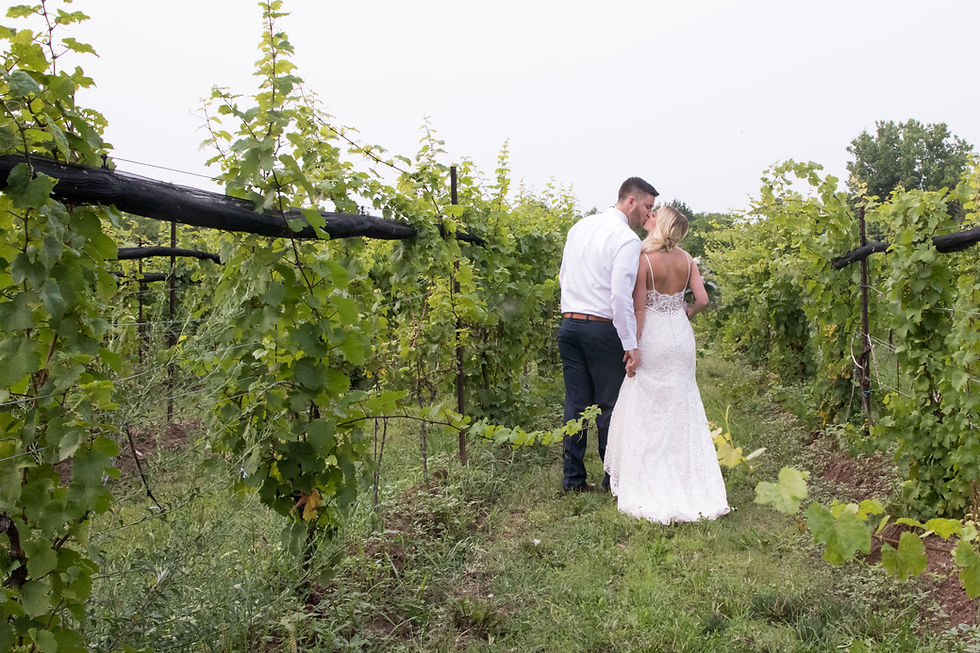 Spring Lake Winery Wedding Lockport Bride Groom Photo Portrait Bridal Session WNY Top 10 Venue