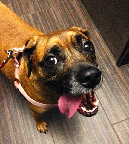 Sadie small_edited.jpeg