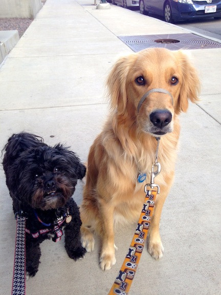 Henry and Sage