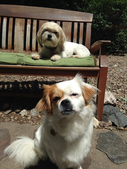 Husker and Beulah!