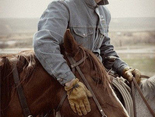 The Cowboy and the Doctor