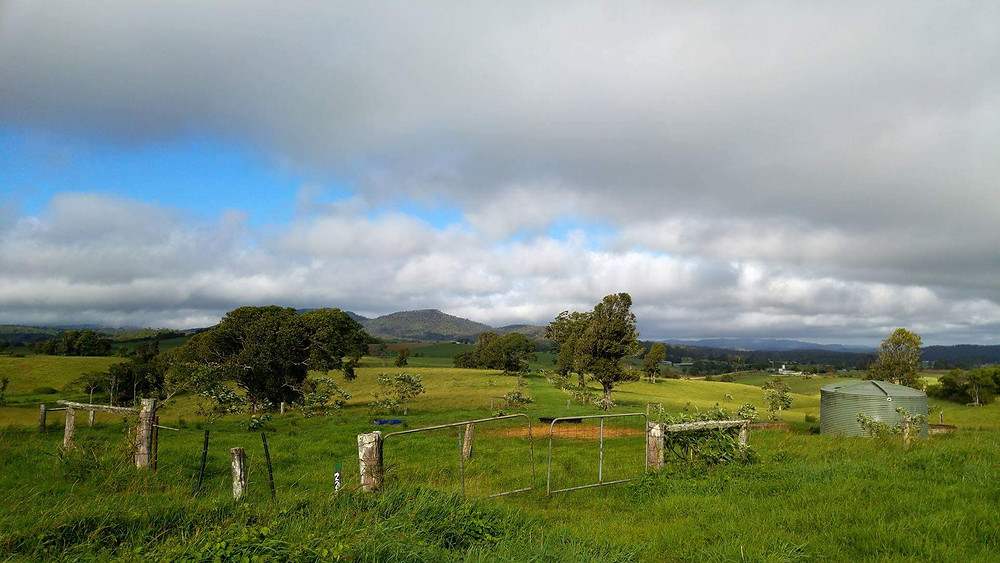 A familiar sight along the route