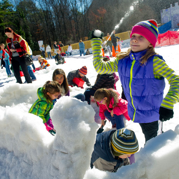 stone-mountain-christmas