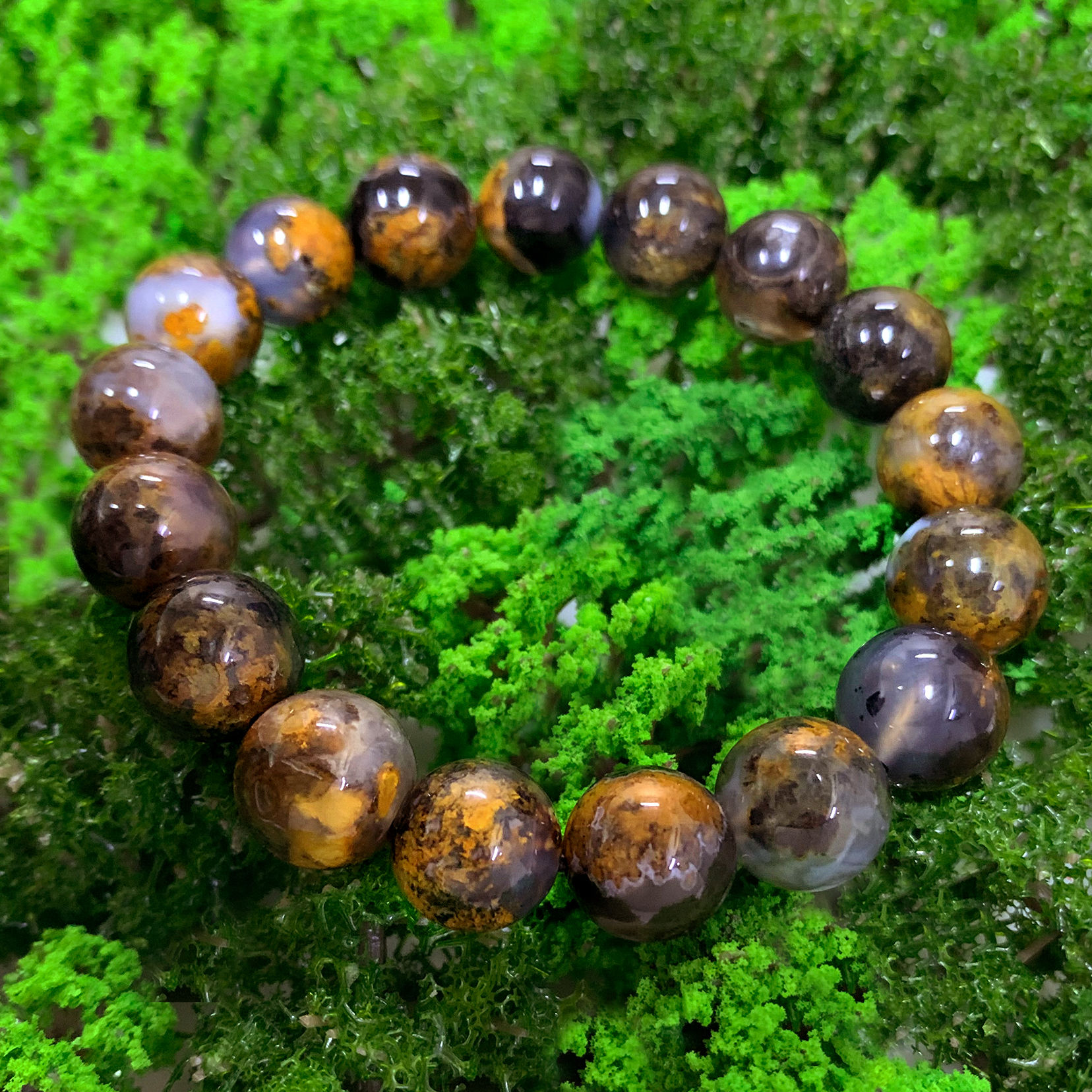 In the Cloudy Mountains