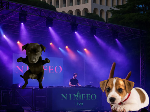 EUR: serate in discoteca con il proprio cane? Al Ninfeo sarà possibile, aprirà 'Oasi Dog-Friendly
