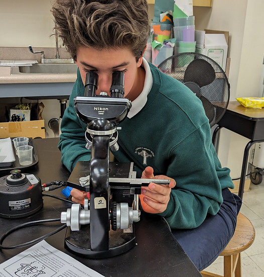 A link to the Saint Nicholas Catholic School High School Acceptances Page. The image shows a male student in middle school looking into a microscope in the science lab