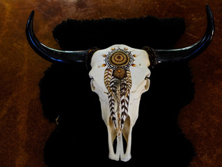 New Painted Skulls