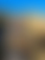 Brown At the Spring Creek