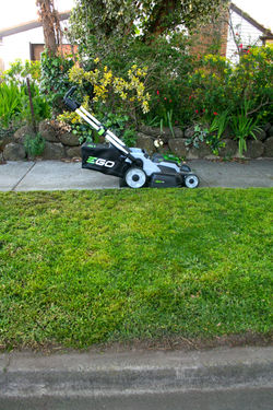 Nature strip after mowing