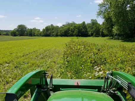 LMC, USDA and River Outfitters Fund Riparian Restoration Work