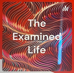 The Examined Life image.jpg