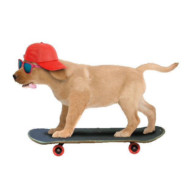 DOGSKATE.GIF