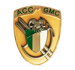 Cornwall Stormont Dundas ONT Soft enamel cap badge gold.jpg