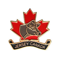 Dundas Soft enamel cap badge