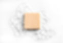 Soap and Lather_edited.jpg