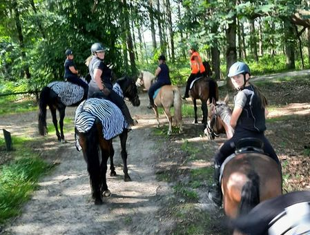 Buitenrit naar de hei!  🐴🌞