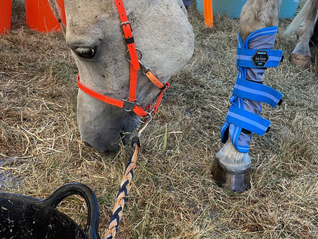 Endurance resultaat!