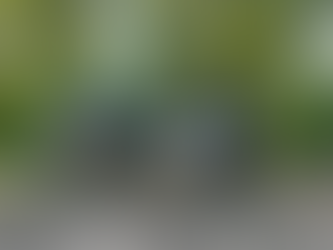 ℍ𝕚𝕡𝕡𝕚𝕒𝕕𝕖 é𝕟 ℍ𝕠𝕣𝕤𝕖 𝔼𝕧𝕖𝕟𝕥 𝕧𝕠𝕠𝕣 𝕠𝕟𝕤 𝕡𝕠𝕟𝕪-𝕧𝕚𝕖𝕣𝕥𝕒𝕝🤩🥳