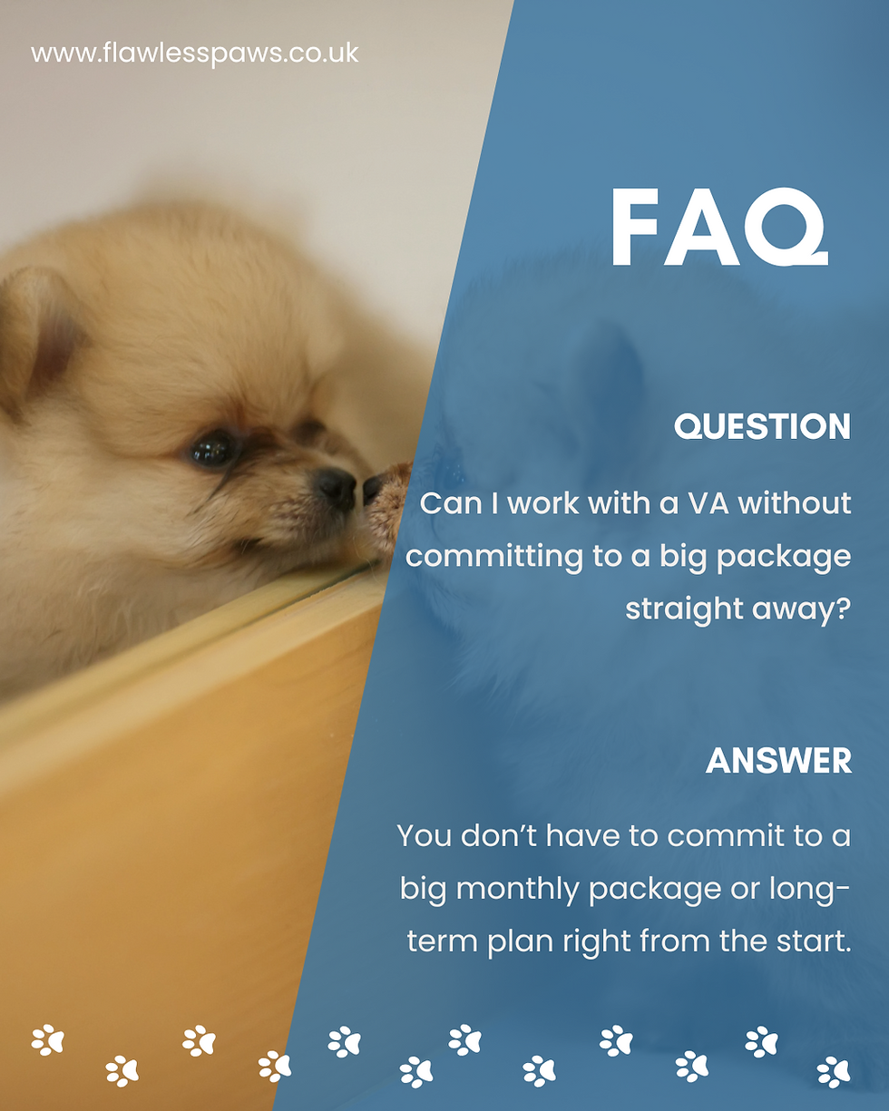 Two small dogs sniffing each others noses. Writing says FAQ Can I work with a VA without commiting to a big package straight away? You don't have to commit to a big monthly package or long-term plan right from the start.