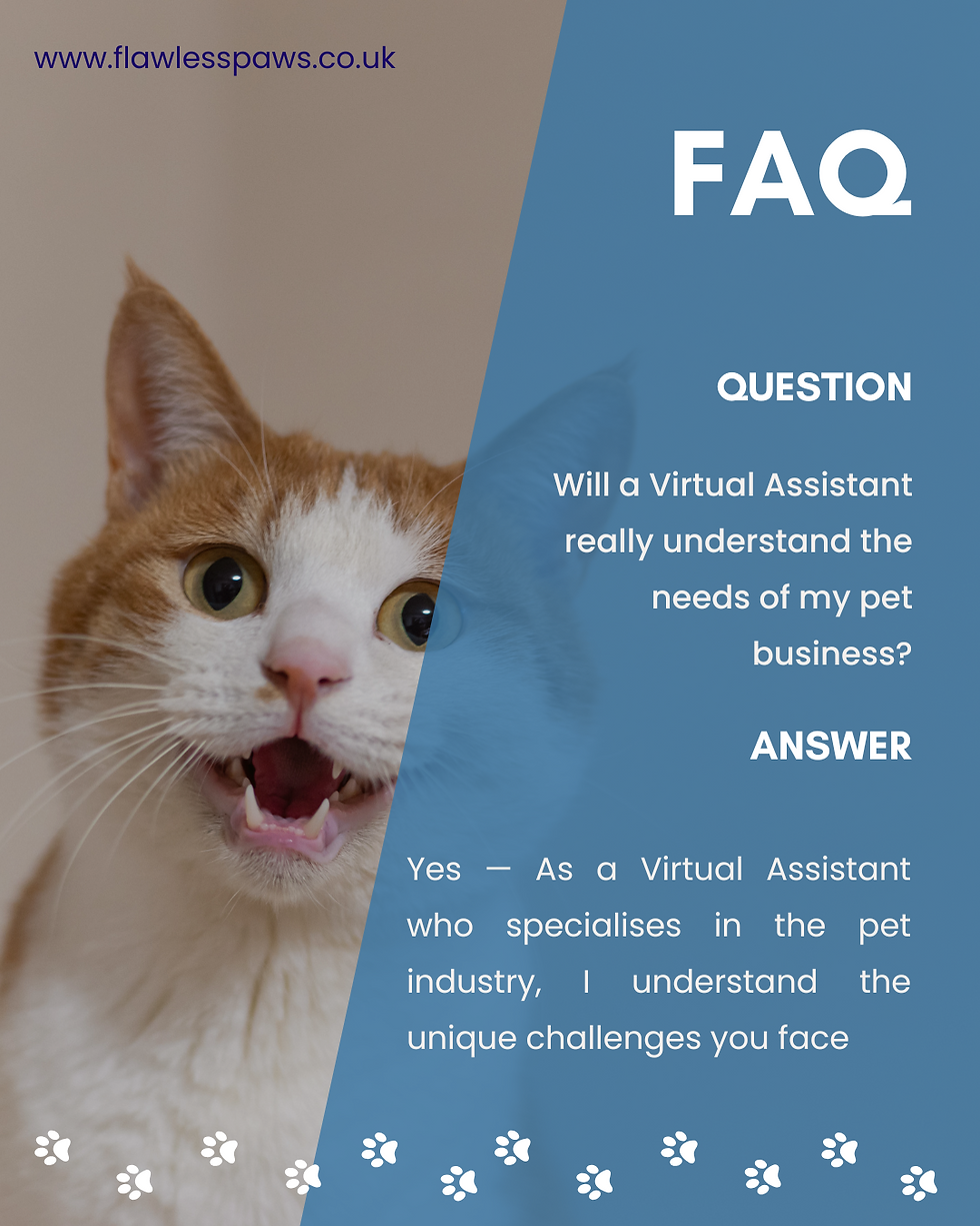 A cat smiling at the camera. With the writing - FAQ will a virtual assistant really understand the needs of my business? Yes-as a virtual assistant who specialises in the pet industry, I understand the unqiue challenges you face.