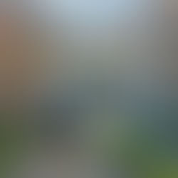 20260314音樂蛇板體能星兒的協會課程