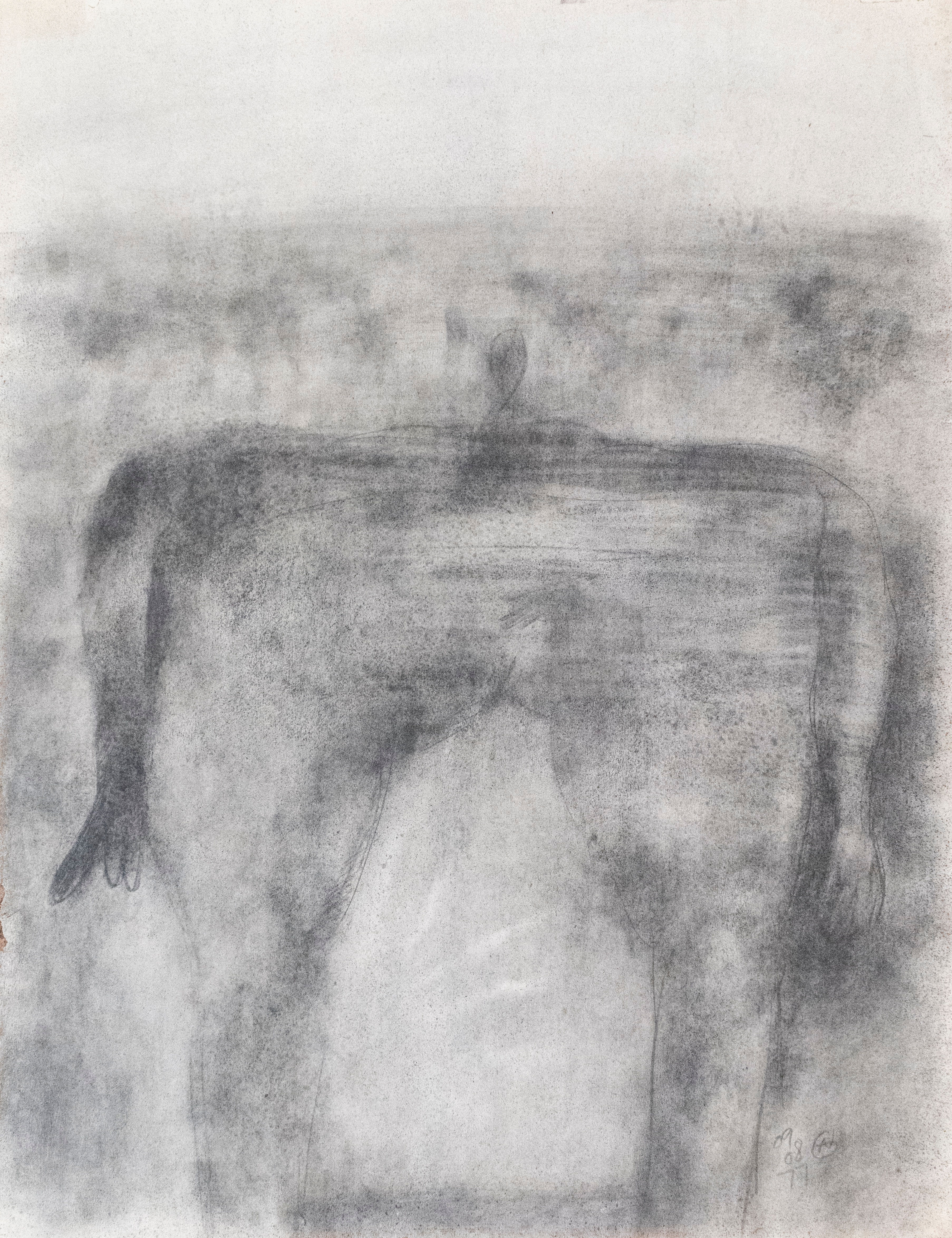 GAND0276 Venus Gorda, 1977