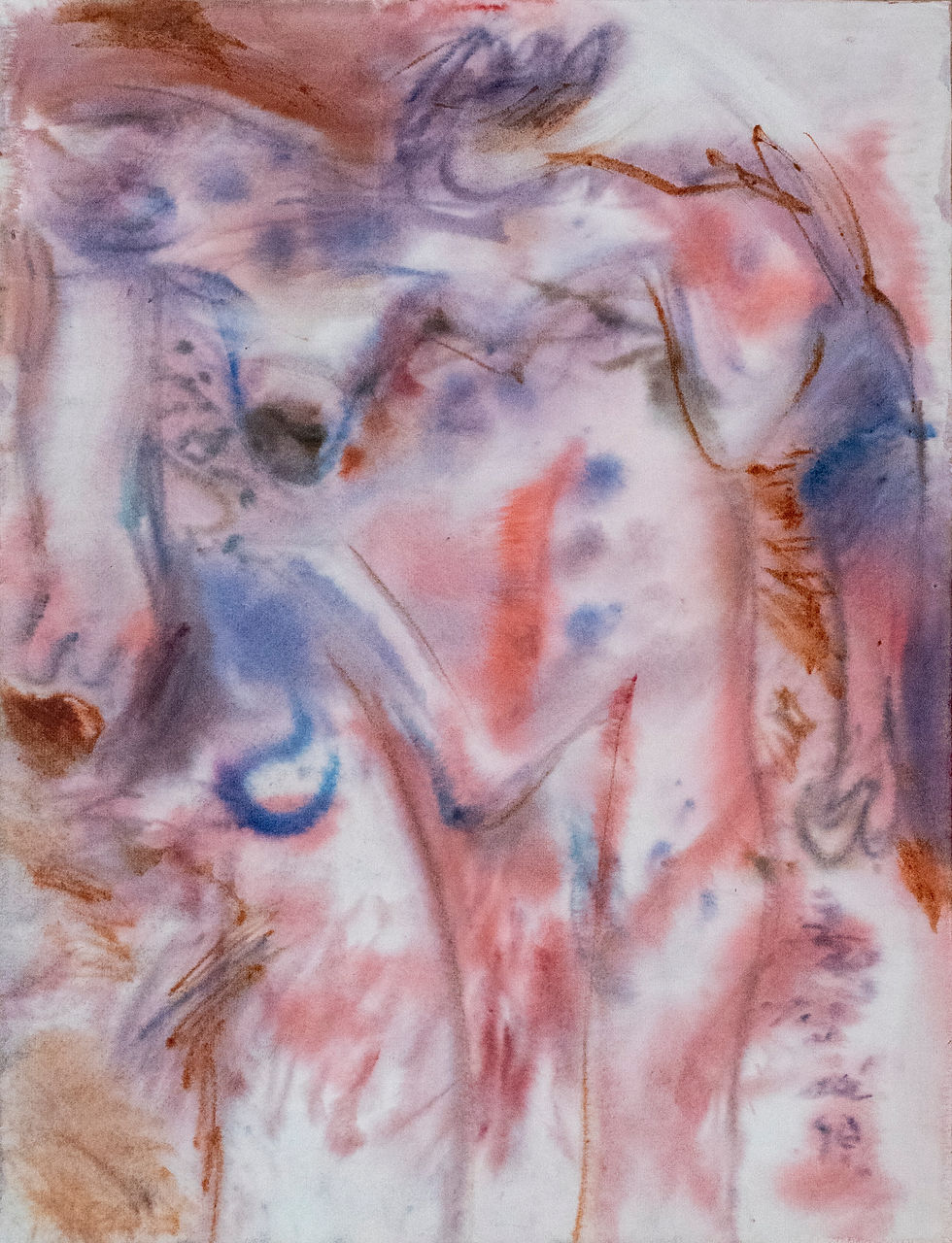 GAND0266 Venus Gorda, 1977