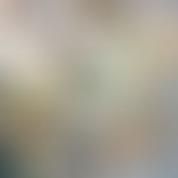 Brautstrauss mit Trockenblumen und Lisianthus in weiss. 