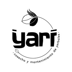 yari.png