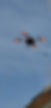 4C1D9411-BC56-48B7-8B49-685D9DE178C2.jpeg