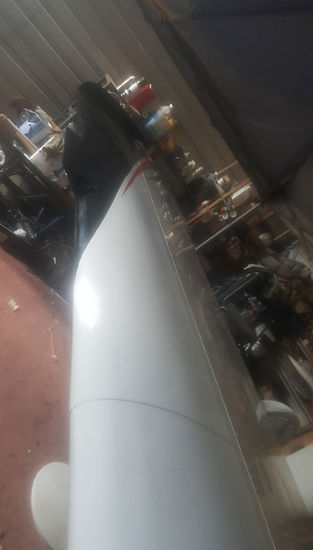 beech wing paint