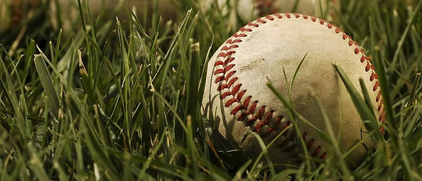Baseball Sitting in Grass