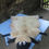 Thumbnail: Sheepskin Rug