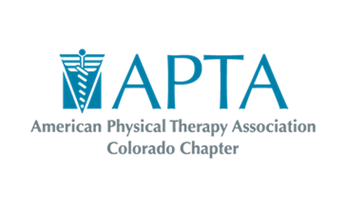 American Physical Therapy Association