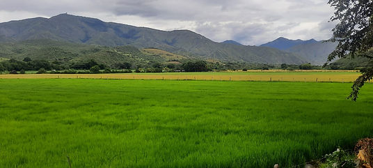 Imagen de WhatsApp 2024-05-30 a las 09.12.26_417f2a01.jpg