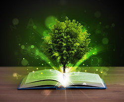 que_es_la_educacion_ambiental_concepto_y_objetivos_1475_orig.jpg