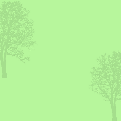 Post de Instagram vida silvestre ilustrado verde.png