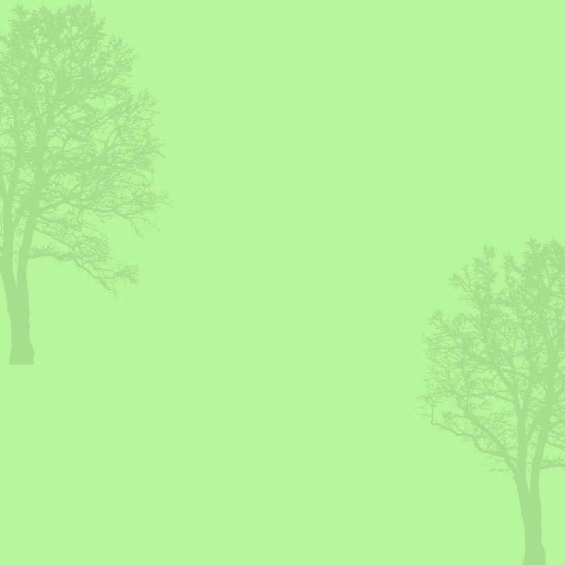 Post de Instagram vida silvestre ilustrado verde.png
