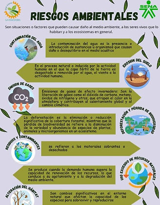 Imagen de WhatsApp 2024-05-14 a las 12.38.32_08a58cd2.jpg