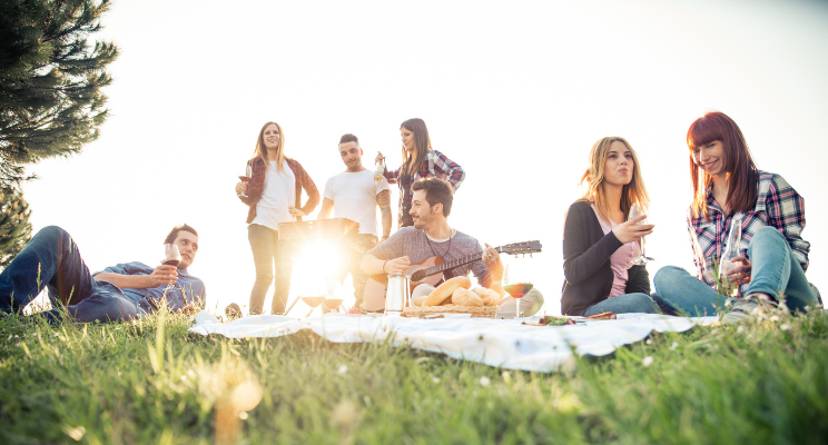 a group of workmates on a picnic party