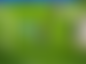 Lewandowski Equals Messi’s Historic Champions League Record