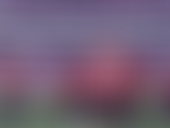 Armando González Scores and Leads Chivas to a Strong Start in Clausura 2026