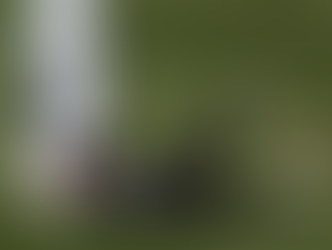 Real Madrid Hit With Massive Defensive Absences Ahead of Champions League Clash