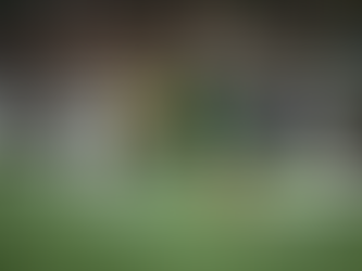 Mexico National Team Announces Squad for March 2025 CONCACAF Nations League Finals.